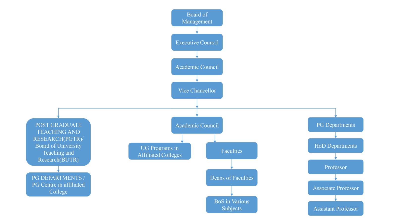 Organizational Structure