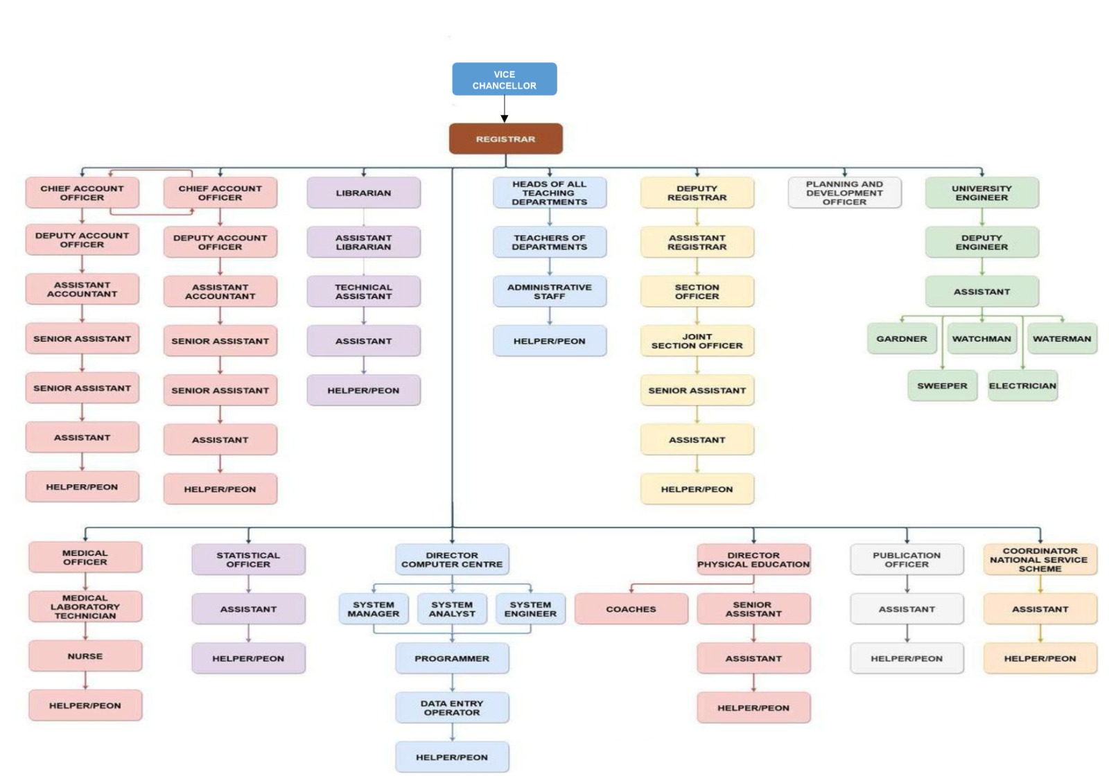 Organizational Structure