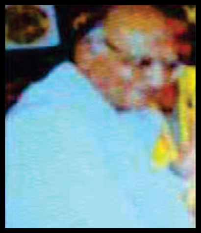 Lt. Shri H. M. Joshi